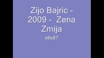 Zijo Bajric - 2009 - Zena Zmija