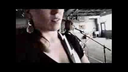 Thrushes - Trees