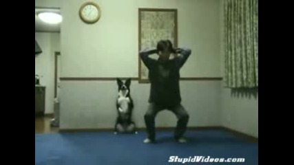 Куче прави гимнастика! 