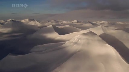 Релакс, Антрактида 