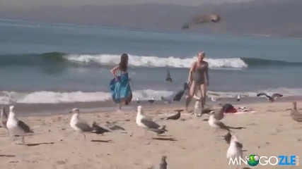 Луда мамба на плажа с птици