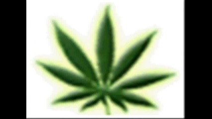 King Size - Puf paf