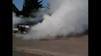 Bmw e36 Ryba Burn
