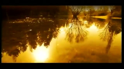Бони - Полудявам ли ( Dvd Rip ) 720p