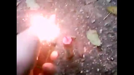 La_bomba
