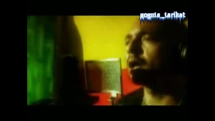 Sean Paul Will Be In Dakar