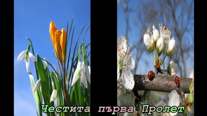 Честита Пролет, Скъпи Българи.