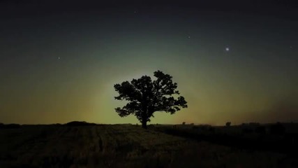 Phaeleh - Should Be True