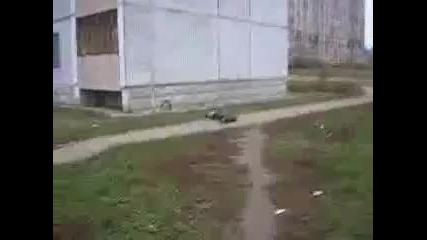Луд скача от 9 етаж на асфалта!