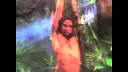 Tarzan S Malkata Bohalka