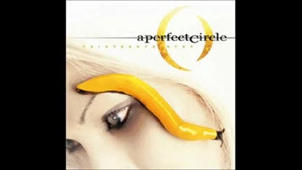 A Perfect Circle - The nurse who loved me