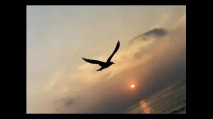 Morandi - Love Me