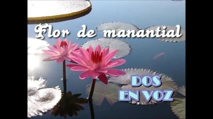 Flor de Manantial - Dos En Voz