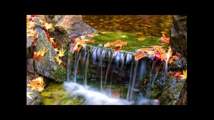 Soulfinder - Colour Of Love (original Mix)