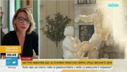Австрия намалява ДДС върху основни храни наполовина – мярка срещу инфлацията или временен ефект?
