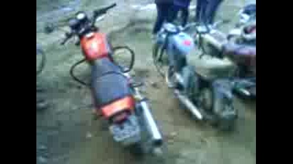 Zaro