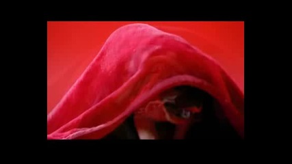 Vodafone Pug Blanket 10 Sec.mpg