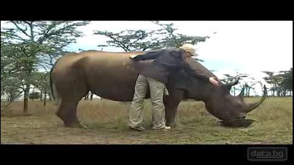 Научно Популярен Филм Африка - Носорозите