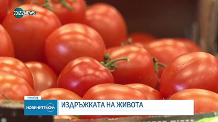 Издръжката на живота: Успяват ли доходите да настигнат инфлацията?