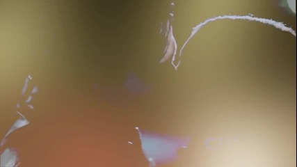 Holding on&letting go - Damon+elena