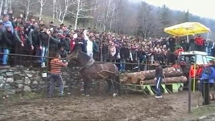 Кон Неон