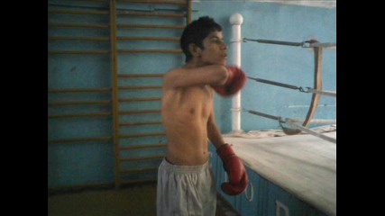 bandata2