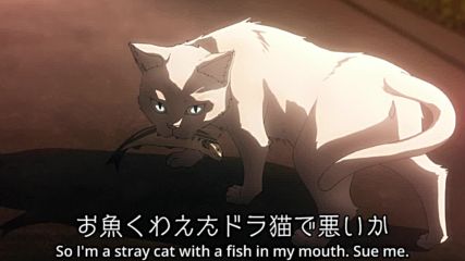 Котка със субтитри Taboo Tattoo Funny