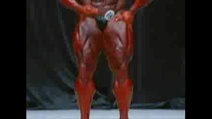 Jay Cutler 2006