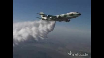 Amazing Scene!!!