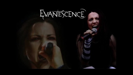 Evanescence - Understanding (превод)