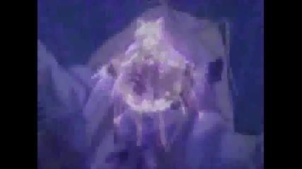 Kiss on my Deity - I Pray