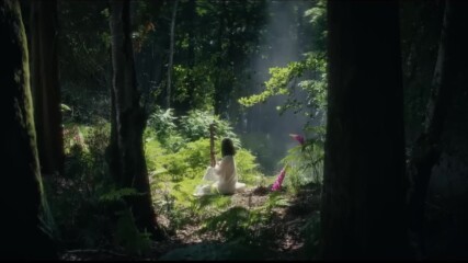 Sumeru Forest of Jnana and Vidya