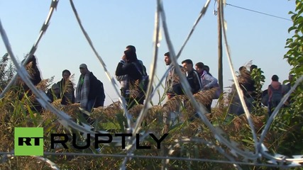 Унгария: Бежански лагер бе разчистен след пристигането на военен отряд на сръбската граница