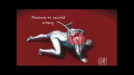 Human Weapon - Mma - Triangle Choke