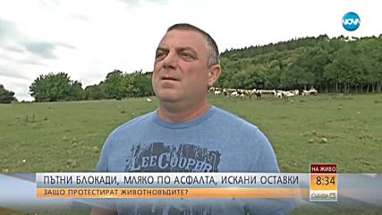 ПЪТНИ БЛОКАДИ, МЛЯКО ПО АСФАЛТА, ИСКАНИ ОСТАВКИ: Защо протестират животновъдите?