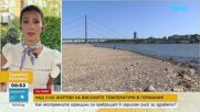 Хората в Германия не са свикнали с такива безпрецедентни жеги