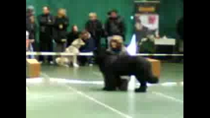 Изложба - Пловдив - Санбернар