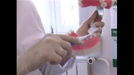 Как да си мием зъбите (видеоурок) 