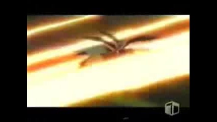 Spider Riders Tribute