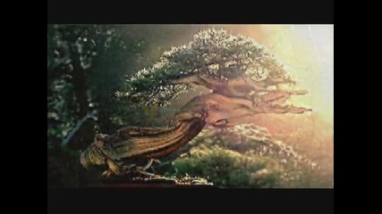 Buddha Bonsai - - Oliver Shanti friends 