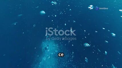 invideo-ai-1080 How Fish Shapes Change with Depth 2024-12-26.mp4