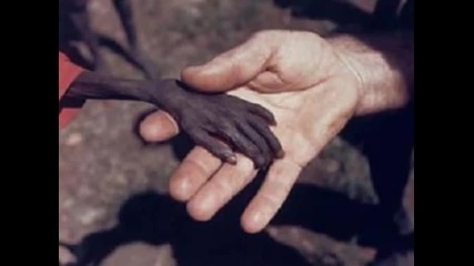 Hungry children in africa...