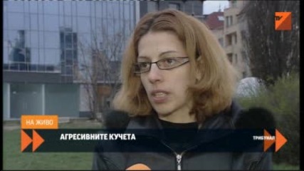 Трибунал Агресивни кучета