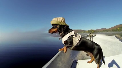 Gopro_ 3