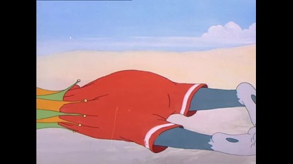Tom and Jerry - Salt Water Tabby 