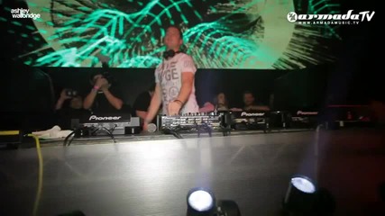 Ashley Wallbridge - Zorro