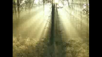 Richard Clayderman - Love song in winter 
