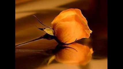 Paul Anka - Julio Iglesias - My Way