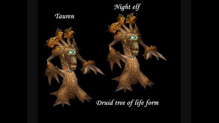 World of Warcraft - all the druid forms 