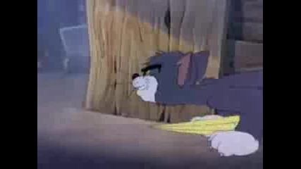 Tom And Jerry Parody